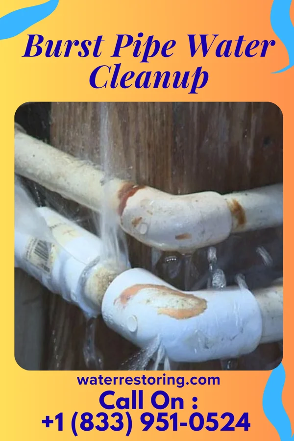 Burst Pipe Water Cleanup in Taft, OK