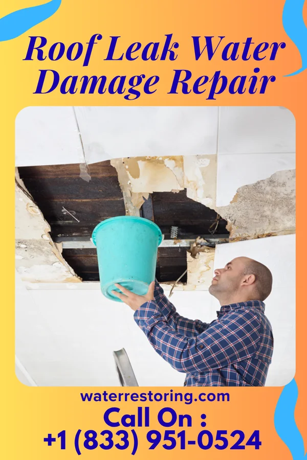 Roof Leak Water Damage Repair in Taft, OK