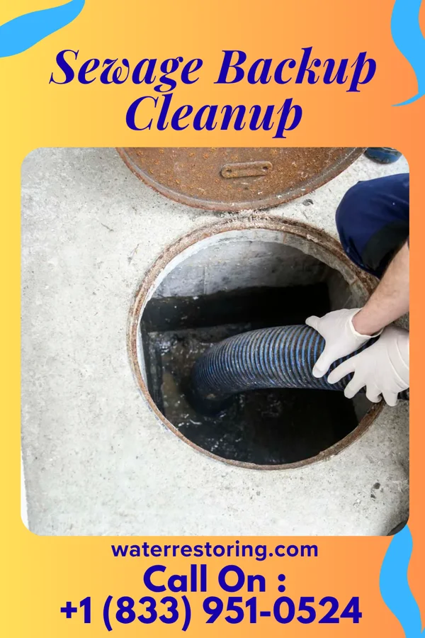 Sewage Backup Cleanup in Taft, OK